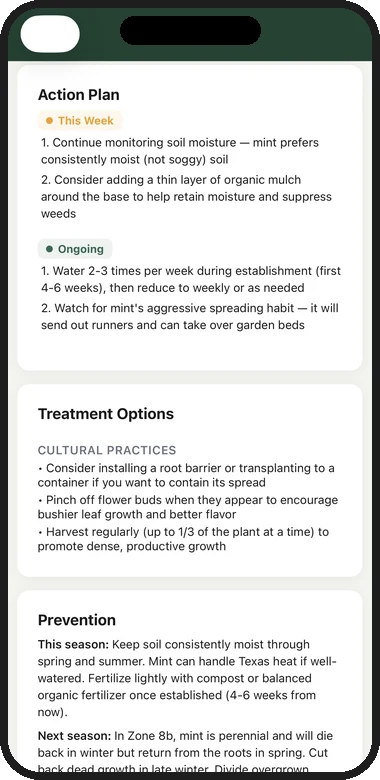 Root Cause action plan with This Week and Ongoing steps, Treatment Options, and Prevention